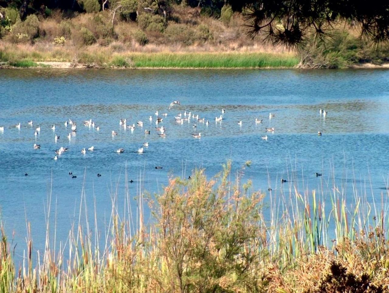 Paqo Lodge Laguna Del Portil, A 400 Metros De La Playa מראה חיצוני תמונה